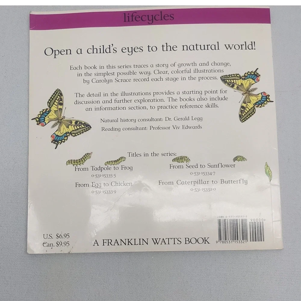 From Caterpillar to Butterfly Lifecycles Franklin Watts Childrens Science Book